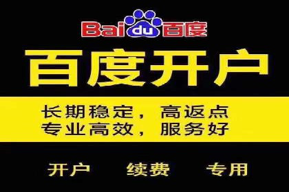 不同平台的信息流广告投放策略及成功案例对比