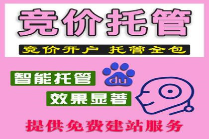 某电商平台的SEM专员营销策略